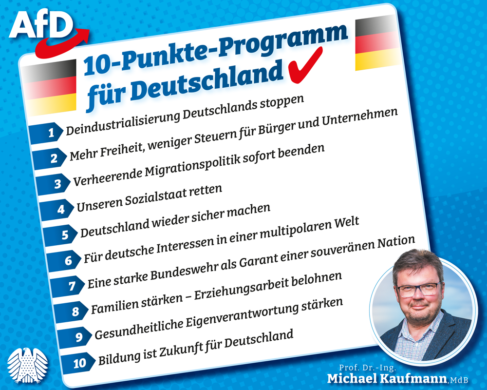 AfD: 10-Punkte-Programm für Deutschland