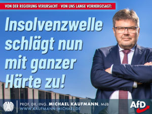 Von uns vorhergesagte Insolvenzwelle schlägt mit voller Härte zu!